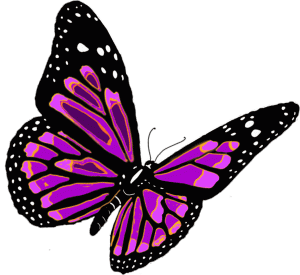 Metamorphosis-Butterfly